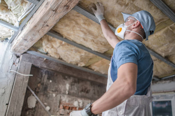 Best Cellulose Insulation in Shepherdsville, KY